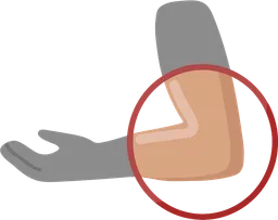 elbow.webp